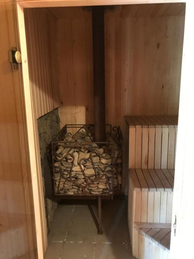 Будинок відпочинку карпатських гір Novyi Mizun'