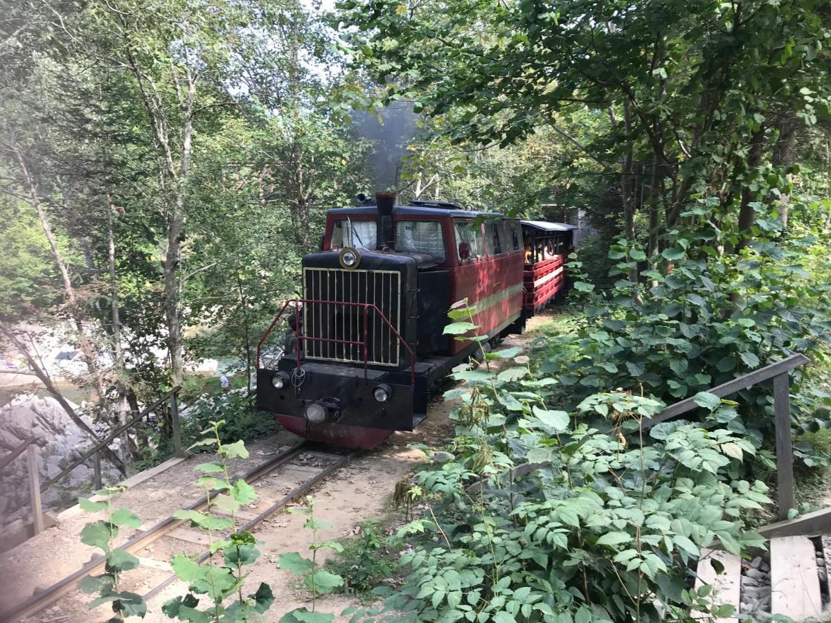 карпатських гір *