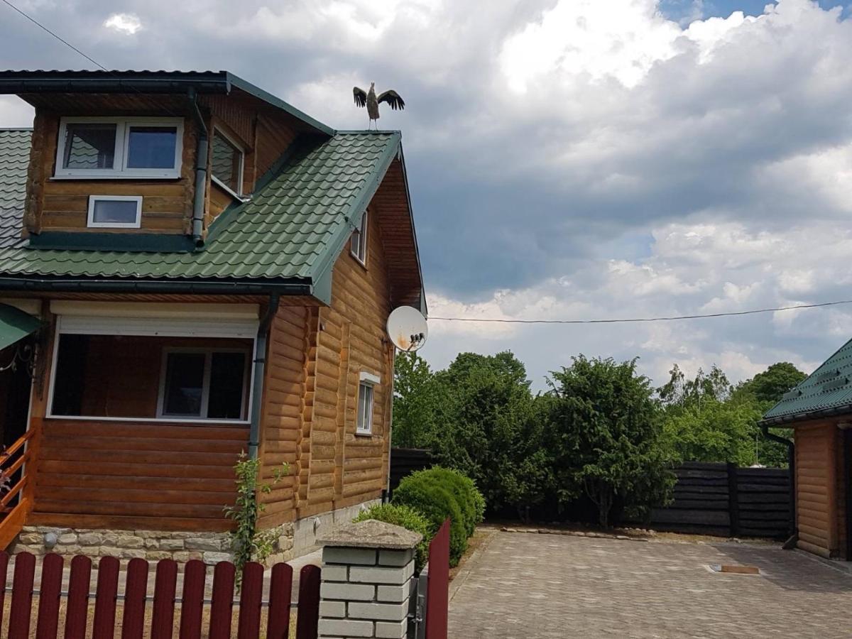Будинок відпочинку карпатських гір Novyi Mizun'